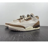 CT8532-102 Jordan Air Palomino 3 0816